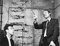 james Watson i Francis Crick